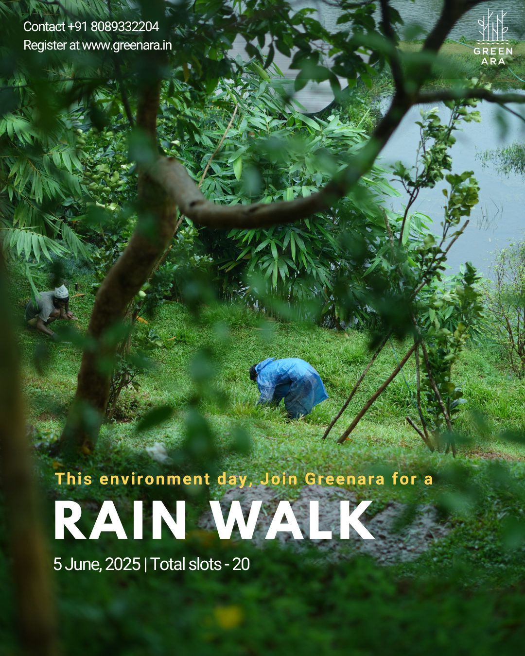 Greenara Greenara | A tropical patch celebrating all gradients of green, from ...